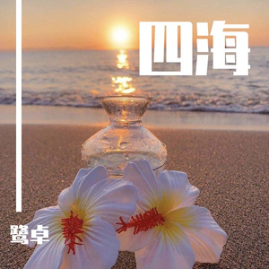 一级色情片和二级色情片
