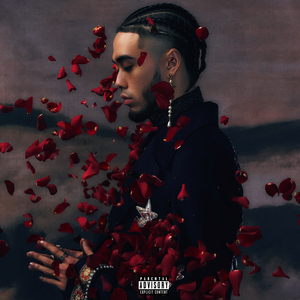 一级色情片和二级色情片
