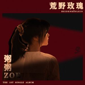 一级色情片和二级色情片
